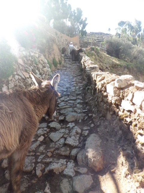 Das Bild zeigt eine alte Inka-Straße auf der Sonneninsel im Titicaca-See.