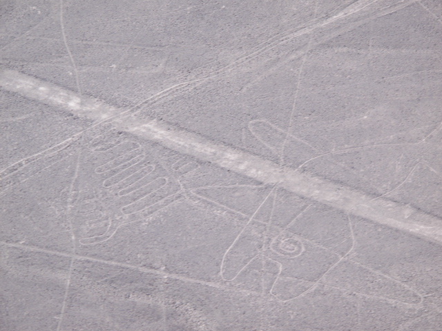 Das Bild zeigt die Wal-Geoglyphe in Nasca, Peru.