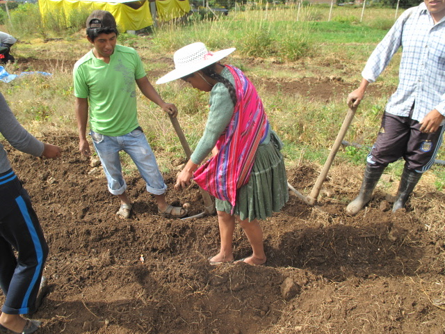 Das Bild zeigt Agronomie-Schüler in Bella Vista, Bolivien. Eine Schülerin trägt traditionelle indigene Kleidung der Region Cochabamba.