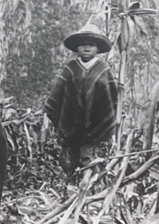 Das Bild zeigt den Bauernjungen, der Hiram Bingham zu Machu Picchu führte. Es handelt sich um einen kleinen Jungen mit Hut und Poncho.